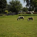 2017OTRA-1_379 (August 24, 2017)